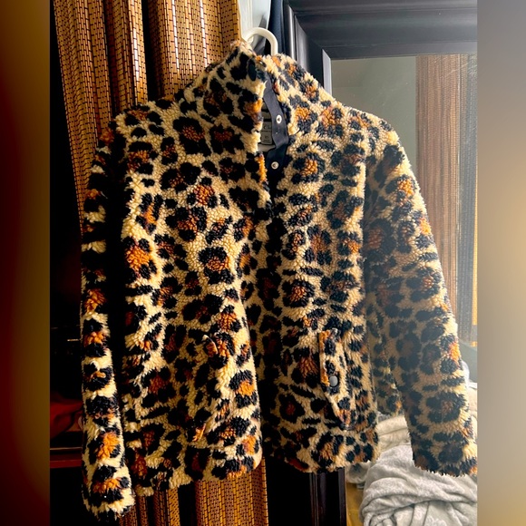 Teddy jacket - Picture 4 of 6